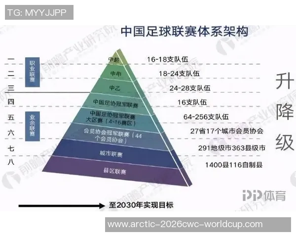 湖北足球信息全景解析助力地方足球发展与青训体系建设